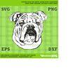 MR-1792023153416-bulldog-pet-dog-cutting-file-printable-svg-file-for-cricut-image-1.jpg