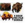 MR-1792023162439-western-bison-bundle-png-sublimation-design-bison-bundle-png-image-1.jpg