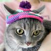 Crochet-cat-hat-pdf-Amigurumi-patterns-for-beginners-Digital-file-03.jpg