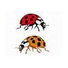 MR-2192023152431-ladybug-svg-bundle-ladybug-clipart-ladybug-vector-ladybug-cut-image-1.jpg