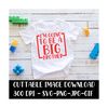 MR-2292023144034-im-going-to-be-a-big-brother-cricut-silhouette-svg-image-1.jpg