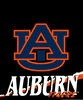 Auburn Tigers Svg, Tigers Svg, Auburn Football Svg, Sport Svg, Ncaa Svg, Football Svg, Football Desig, Digital download.jpg