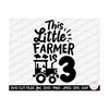 MR-2592023215650-3rd-birthday-farmer-little-farmer-tractor-lover-svg-png-cricut-image-1.jpg