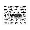 MR-2892023104725-shark-svg-shark-silhouette-shark-vector-clipart-printable-image-1.jpg