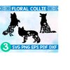 MR-289202323959-floral-collie-svgcollie-dog-svgcollie-wildlflower-svgcollie-image-1.jpg