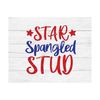 MR-2992023104749-star-spangled-stud-svg-4th-of-july-svg-dog-svg-4th-of-july-image-1.jpg