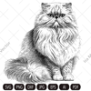 persian cat imv.jpg