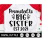 MR-309202314109-promoted-to-big-sister-svg-big-sister-svg-2021-svg-newborn-image-1.jpg