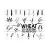 MR-310202310226-wheat-svg-grain-svg-wheat-clipart-cut-files-cricut-image-1.jpg