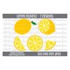 MR-4102023152225-lemon-svg-lemon-png-lemonade-svg-lemonade-png-lemon-image-1.jpg