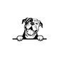 MR-5102023164732-peeking-continental-bulldog-svg-peeking-continental-bulldog-image-1.jpg