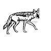 MR-610202382954-jackal-svg-safari-animals-svg-jackal-clipart-jackal-files-image-1.jpg