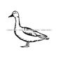 MR-610202315628-mallard-duck-svg-wild-duck-svg-mallard-svg-duck-clipart-image-1.jpg