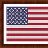 USA Flag-Framed.jpg