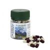 Altai Stone Oil in capsules.jpg