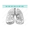 MR-11102023151035-human-lung-svg-lungs-svg-flowery-human-lung-silhouette-image-1.jpg