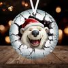 3D Polar Bear Christmas Ornament Sublimation PNG, Instant Digital Download, Christmas Round Ornament Break through Polar Bear Ornament PNG - 1.jpg