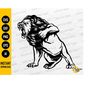 MR-1110202320474-wild-lion-svg-africa-svg-wildlife-t-shirt-vinyl-stencil-image-1.jpg