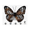 MR-12102023153329-butterfly-svg-botanical-svg-butterfly-clipart-butterfly-image-1.jpg