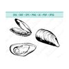 MR-12102023201748-clams-svg-clams-clipart-svg-beach-svg-shellfish-image-1.jpg