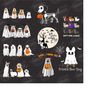 MR-14102023112934-ghost-cat-png-file-halloween-cat-png-black-cat-png-image-1.jpg