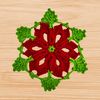 crochet-hexagon-doily-pattern - Copy.jpg