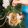 Personalized Dog & Cat Memorial Ornament With Photo, Pet Memorial Gifts, Pet Memorial, Dog Loss Keepsake, Dog Memorial Gift, Christmas Decor - 3.jpg