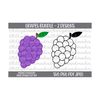 2410202316350-grapes-svg-grapes-png-grapes-clipart-grapes-vector-grapes-image-1.jpg