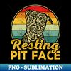 NN-20231025-6705_Resting Pit Face Pitbull 2951.jpg
