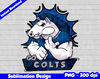 indianapolis colts 01.jpg