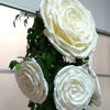 Giant foam flowers Outdoor wedding backdrop.jpg