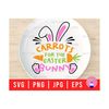 30102023114545-carrots-for-easter-bunny-svg-files-for-plate-easter-carrot-image-1.jpg