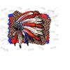 31102023104658-american-flag-with-leopard-background-native-american-image-1.jpg