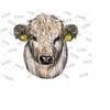 3110202316327-white-baby-cattle-sublimation-png-file-baby-cow-png-western-image-1.jpg