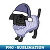 VV-20231031-2240_Cute Dog in Christmas Winter Sweater and Blue Hat 4707.jpg