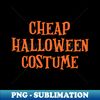 AP-20231101-3974_Cheap Halloween Costume   2893.jpg