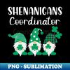 IN-20231101-9662_Gnomes - Shenanigans Coordinator Funny St Patricks Day 7509.jpg