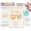 MR-1112023164437-editable-pumpkin-first-birthday-invitation-little-pumpkin-image-1.jpg