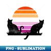 NV-20231101-14644_Lesbian Pride Sunset Kitties 2530.jpg