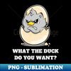 LC-20231101-22741_What the duck do you want 2288.jpg