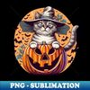 GS-20231102-16312_Trick or Treat Halloween Cat 3334.jpg