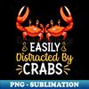 YQ-20231102-5051_Easily Distracted By Crabs 2423.jpg