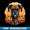 ZF-20231102-7015_Halloween Boxer Dog 3 6629.jpg