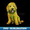 QA-20231103-14294_Golden Doodle 9246.jpg