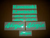 Kawasaki-ninja-zx6r-reflective-green-decals.JPG