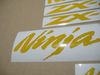 Kawasaki-ZX6R-ninja-reflective-yellow-stickers-kit.JPG