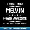 TS-20231104-3133_Best Melvin Ever Awesome Melvin Name Personalized Birthday Gift 5036.jpg