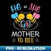 HX-20231104-6853_Gender Reveal He Or She Mother To Bee Matching Family Baby Party 2482.jpg