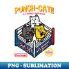 DU-20231105-11725_Punch Cat Boxing 8501.jpg