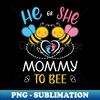 BV-20231106-6864_Gender Reveal He Or She Mommy To Bee Matching Family Baby Party 5916.jpg